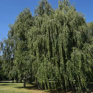 Apartamento Al Salice Tranquillita Nel Verde Via Amendola 24, Busto Arsizio